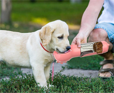 Dog using 3-in-1 Pet Water Bottle for drinking and feeding outdoors.
