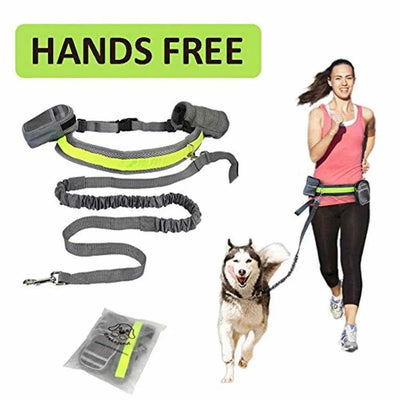 Hands-free dog leash with adjustable waist belt for running, featuring durable traction set.
