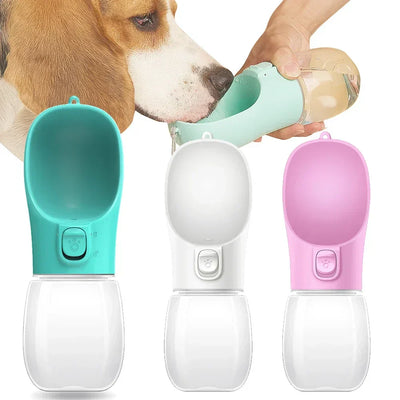 Portable leakproof dog water bottle for hydration on walks and hikes.