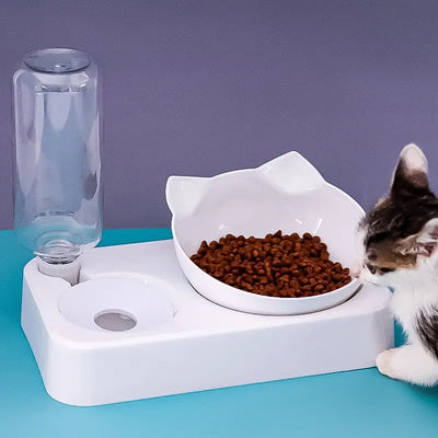 Ultimate Comfort Feeding Bowl with 15° tilt, automatic water dispenser, and a cat eating.