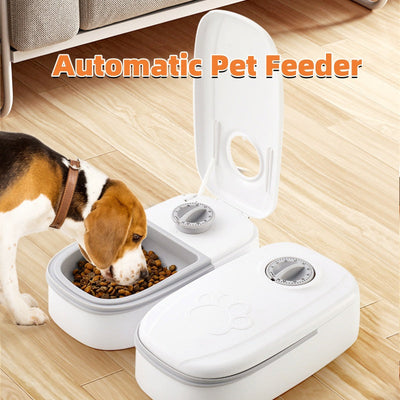 Smart automatic pet feeder with timer for cats and dogs on wooden floor.